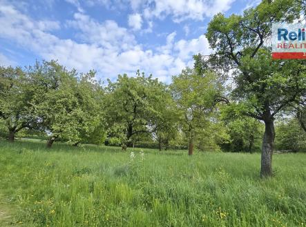 Pronájem - pozemek, ostatní, 2 532 m² obrázek