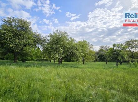 20250510_170944 | Pronájem - pozemek, ostatní, 2 532 m²