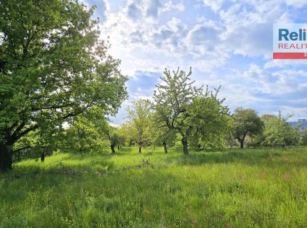 20250510_171053 | Pronájem - pozemek, ostatní, 2 532 m²