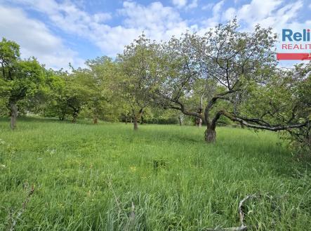 20250510_170838 | Pronájem - pozemek, zahrada, 2 532 m²