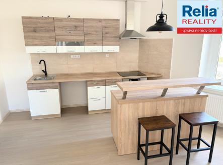 2025-03-27 13-37-56 | Pronájem bytu, 1+kk, 47 m²