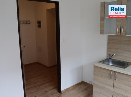 IMG_0289 | Pronájem bytu, 1+kk, 33 m²