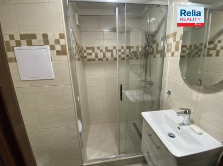 N50665_Koupelna | Pronájem bytu, 2+kk, 42 m²
