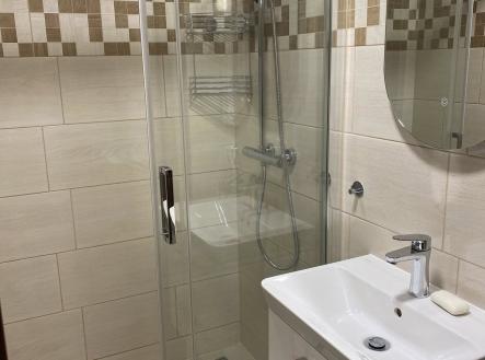 N50665_Sprchový kout | Pronájem bytu, 2+kk, 42 m²