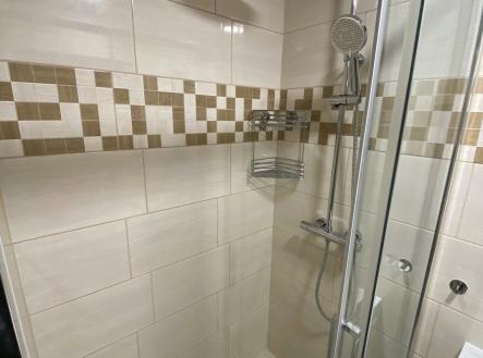 N50665_Sprchový kout_1 | Pronájem bytu, 2+kk, 42 m²