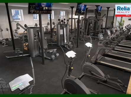 Hala_Fit_03 | Pronájem - obchodní prostor, 610 m²