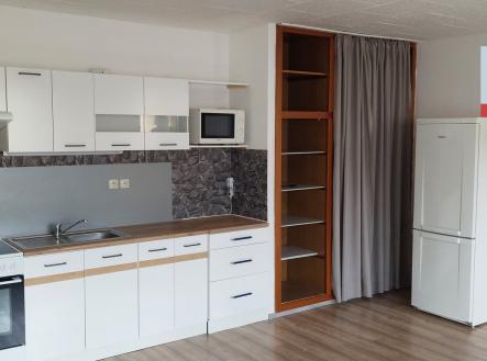 20250407_112921 | Pronájem bytu, 1+kk, 45 m²