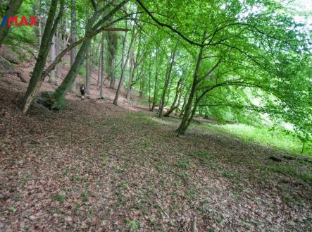 img_14b4ca67e7.jpg | Prodej - pozemek, les, 13 685 m²