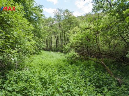 img_5b41829bfd.jpg | Prodej - pozemek, les, 13 685 m²