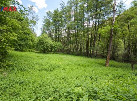 img_555c5f7c15.jpg | Prodej - pozemek, les, 13 685 m²