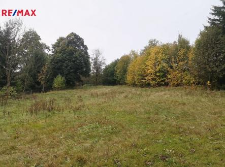 obrazek-whatsapp-2023-10-31-v-21-06-56-6a8540fa.jpg | Prodej - pozemek pro bydlení, 1 683 m²