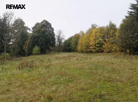 obrazek-whatsapp-2023-10-31-v-21-06-56-6a8540fa.jpg | Prodej - pozemek pro bydlení, 1 683 m²