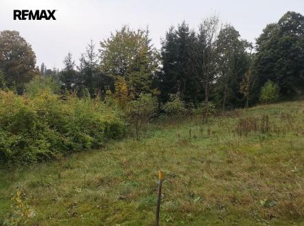 obrazek-whatsapp-2023-10-31-v-21-06-56-16590bea.jpg | Prodej - pozemek pro bydlení, 1 683 m²