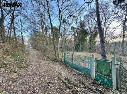 img-8398.jpg | Prodej - pozemek pro bydlení, 1 982 m²