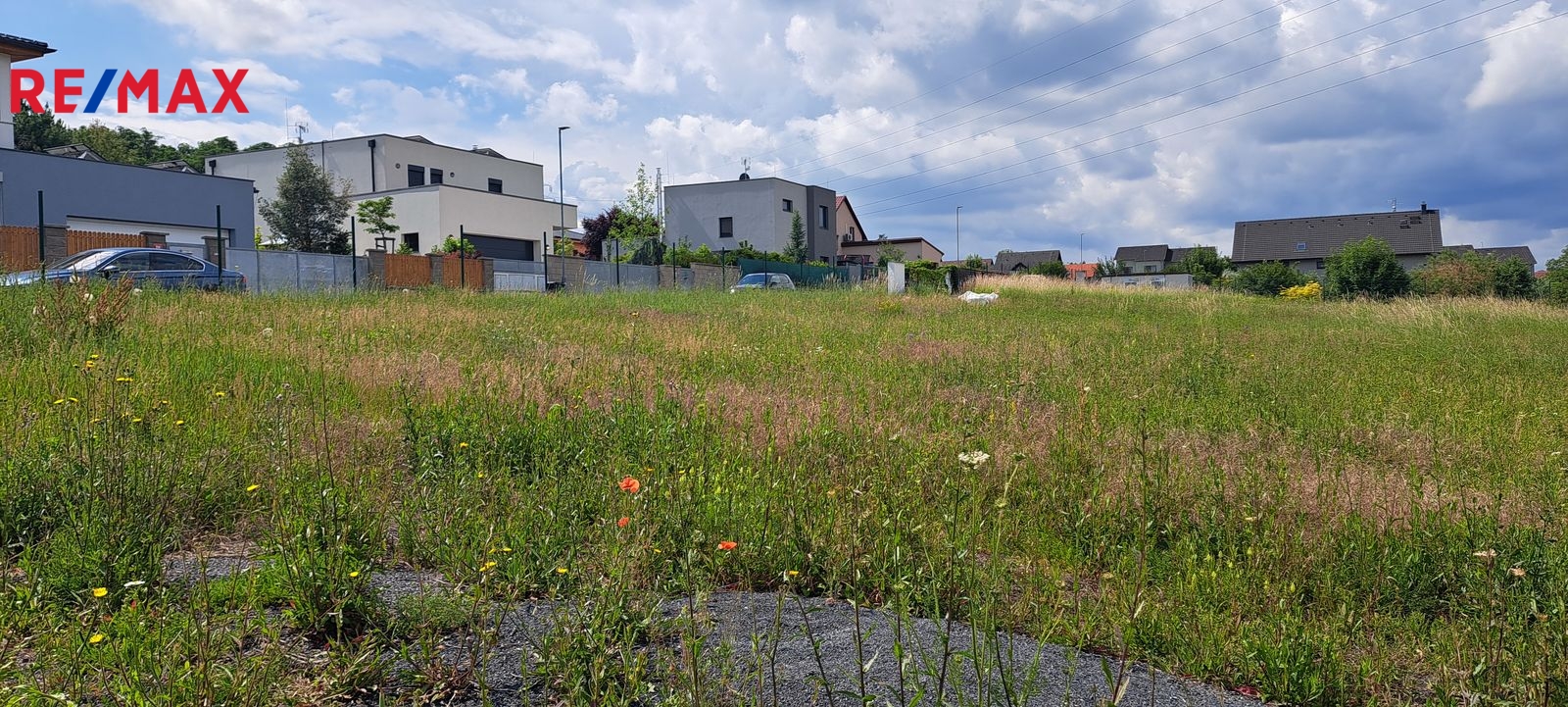 20240613-105916.jpg