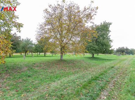 3p4a1125.jpg | Prodej - pozemek, ostatní, 6 588 m²