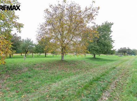 3p4a1125.jpg | Prodej - pozemek, ostatní, 6 588 m²