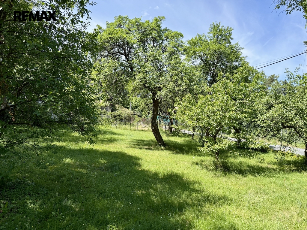 img-4121.jpg