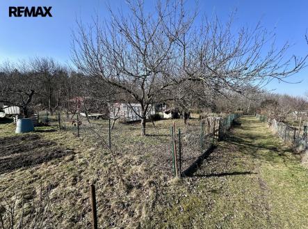 img-1585.jpg | Prodej - pozemek, zahrada, 319 m²