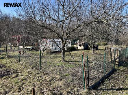 img-1587.jpg | Prodej - pozemek, zahrada, 319 m²