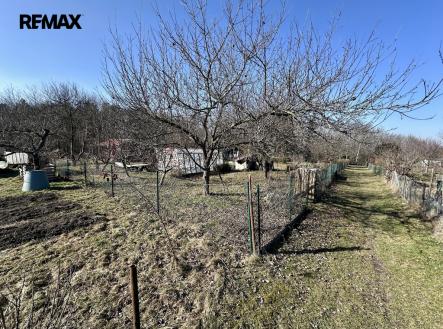 img-1585.jpg | Prodej - pozemek, zahrada, 319 m²