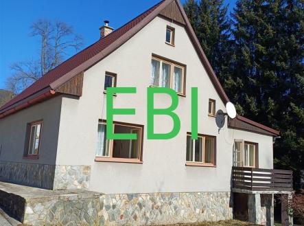 Prodej - dům/vila, 290 m²