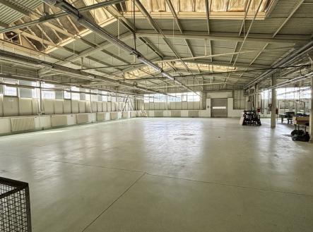 Pronájem - výrobní prostor, 3 815 m²