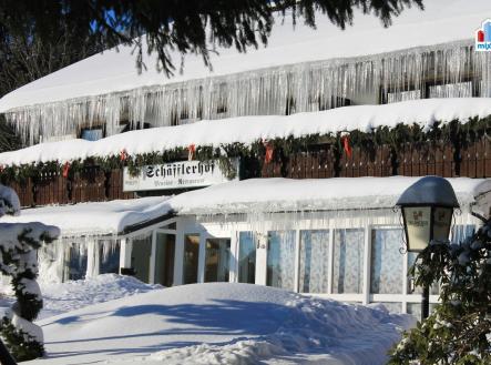 Fotka 2 | Prodej - penzion, 2 500 m²