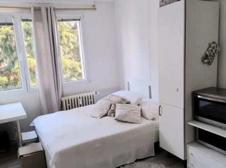 Fotka 3 | Pronájem bytu, 1+kk, 20 m²