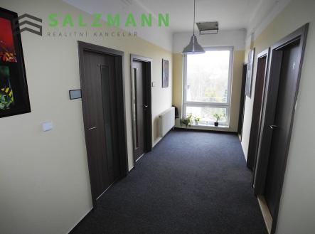 Pronájem - kanceláře, 17 m²