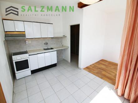 Pronájem bytu, 1+1, 46 m²