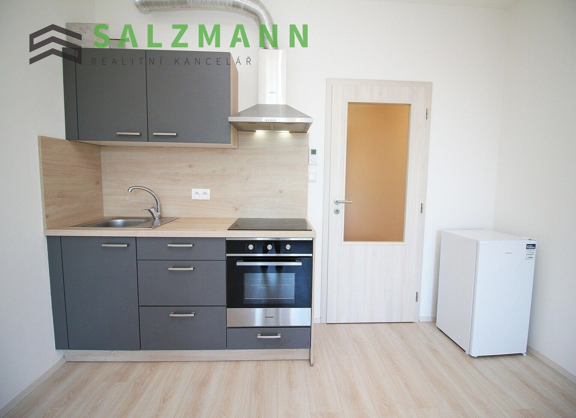 Byt 1+KK (cihla, 29m2), Plzeň • Jižní Předměstí, Nemocniční ul.