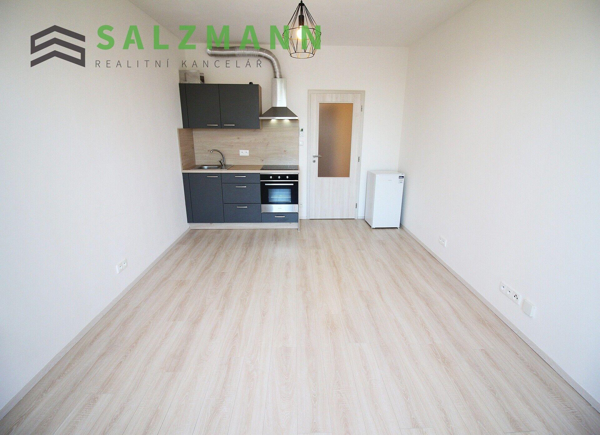 Byt 1+KK (cihla, 29m2), Plzeň • Jižní Předměstí, Nemocniční ul.