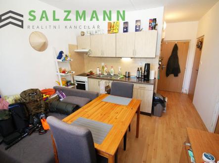Pronájem bytu, 1+1, 42 m²