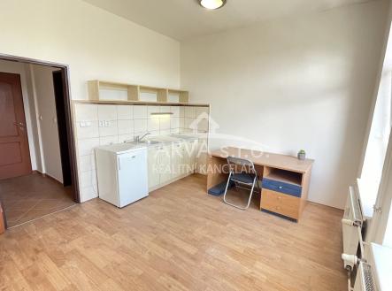 foto: 2 | Pronájem bytu, 1+kk, 20 m²