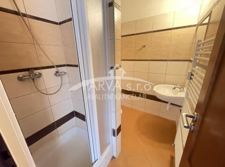 foto: 4 | Pronájem bytu, 1+kk, 20 m²