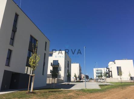 foto: 4 | Pronájem bytu, 1+kk, 33 m²