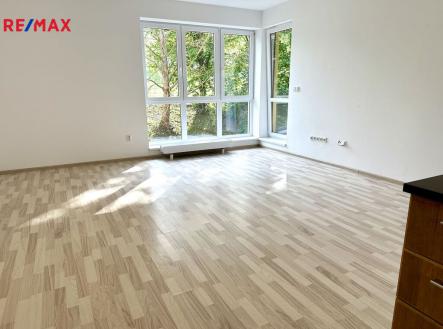 img-0216.jpg | Pronájem bytu, 2+kk, 50 m²