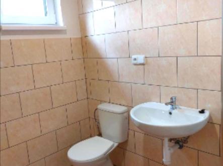 WC a koupelna se sprchovým koutem. | Pronájem bytu, 2+kk, 48 m²