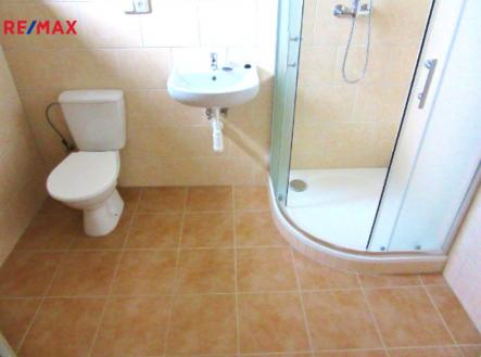 Koupelna se sprchovým koutem a wc. | Pronájem bytu, 2+kk, 48 m²