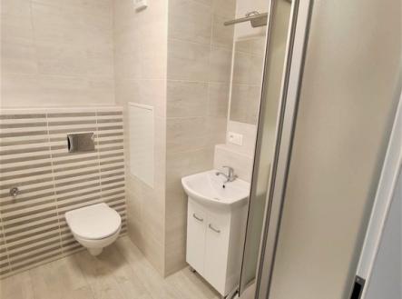 3img-20230811-wa0011.jpg | Pronájem bytu, 1+1, 39 m²