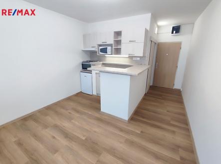 Pronájem bytu, 1+kk, 20 m² obrázek