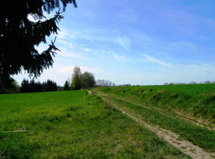 Cesta kolem pozemku. | Prodej - pozemek pro bydlení, 984 m²