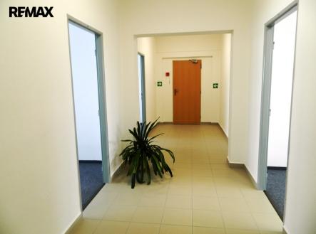 Chodba spojující 3 nové kanceláře. | Pronájem - kanceláře, 17 m²