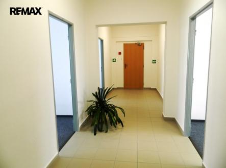 Chodba spojující 3 nové kanceláře. | Pronájem - kanceláře, 17 m²