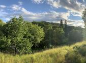 Prodej - pozemek pro bydlení, 600 m²