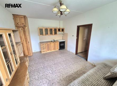 1000022796.jpg | Prodej bytu, 1+1, 42 m²