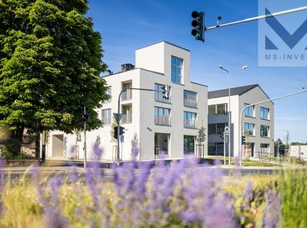 IMG_8181 | Prodej - kanceláře, 45 m²