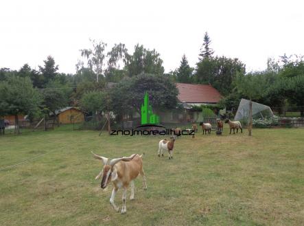 DSC05804 | Pronájem bytu, 3+kk, 80 m²