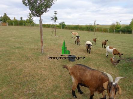 DSC05805 | Pronájem bytu, 3+kk, 80 m²